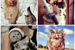 43 самых умилительных Инстаграма 2013 года