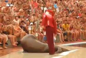 Морж танцует под Майкла Джексона