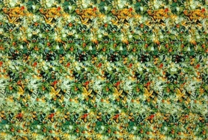 Оптические иллюзии