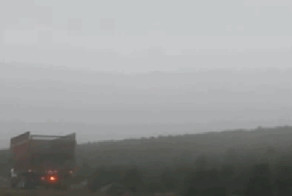 Погрузка ёлок. уровень: бог