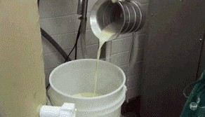 Пончики кто заказывал?