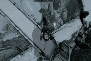 Попытался приручить дракона