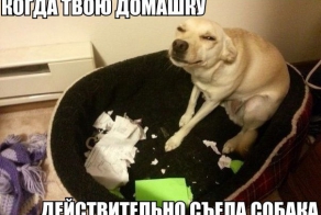 Ох уж этот взгляд