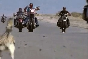 Мужики! Я с вами!