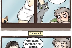 Жизнь рядом с оживленной дорогой