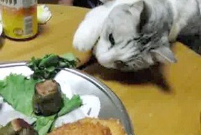Закусывать надо!