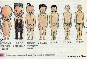 Забавные художества в учебниках