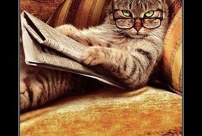 Демотиватор