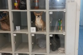 Невозмутимый!