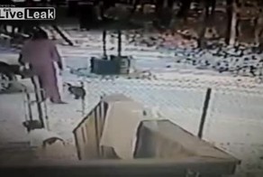 Подборка видео от 17.12.2013