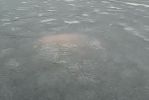 Рождение Челябинца!