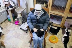 Кошки из приюта утешают больного раком мужчину
