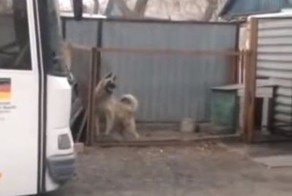 Наплясал на два миллиона