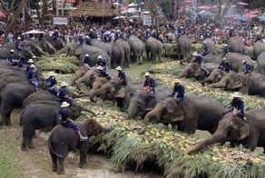 Фотоподборка