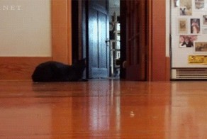 Ну очень внезапно!