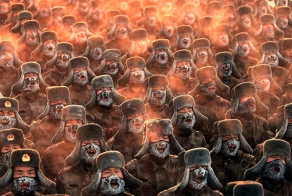 Лучшие фотографии уходящего года по версии фотобанка Getty Images