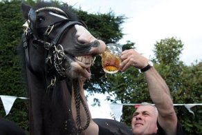 Красивые фото