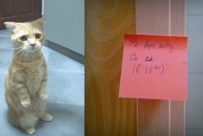 Никому не верь!  