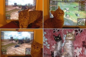  Хватить играть, задрот