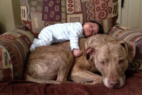 А глаза  добрые-добрые...