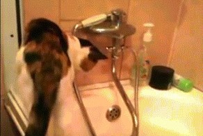 Ну интересно же!