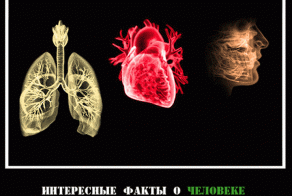 40 фактов о человеке