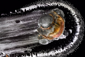 Взрывающиеся галактики – как пуля разбивает органическое стекло