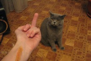 Играть мы больше не будем...
