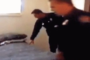 Мастер маскировки