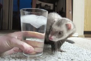 Ну дай же водички попить