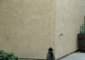 Assassin в действии