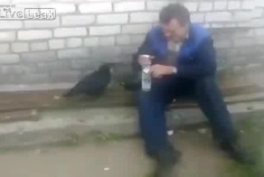 Подборка видео от 24.12.2013