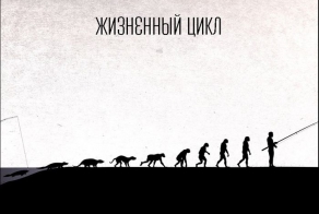 Другой взгляд на эволюцию