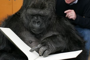 Так ли уникален человек? Распространенные мифы