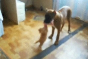- Ну поделись с ребенком!