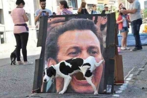 8 фото с идеально пойманными моментами - в нужное время в нужном месте