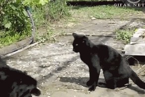 Ловко уложил!