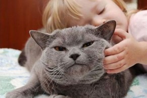 Фотоприкол онлайн бесплатно