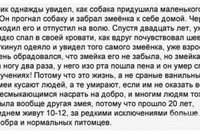  Добрая рождественская сказка  ))