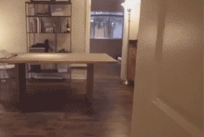 Танцуют все)))