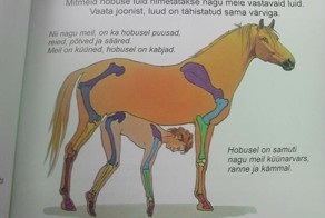 Оригинальный способ эстонским детям рассказывать в школе про животных.