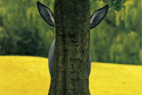 Фотографии 2013 года, в которые трудно поверить!