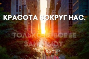 Фотоприкол онлайн
