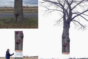 Смелый ответ любителям фотошопа
