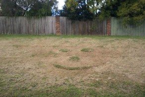 Смешные рисунки