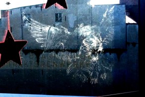 Птица врезалась в стекло