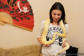 Танго со змеями: танцовщица рассказала о своих партнерах-рептилиях