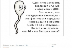 Смешные комментарии из социальных сетей