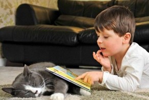 Как вывести запах с мягкой мебели