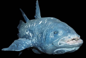 Животные далекого прошлого, считавшиеся вымершими